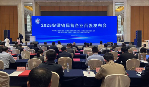 国信集团荣登2025安徽省民营企业营收百强第78位